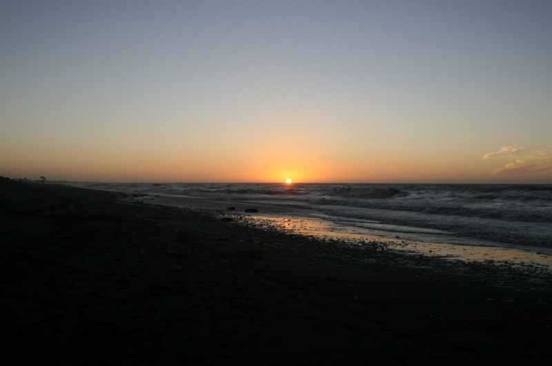 Nieuw-Zeeland 2011 - 1376